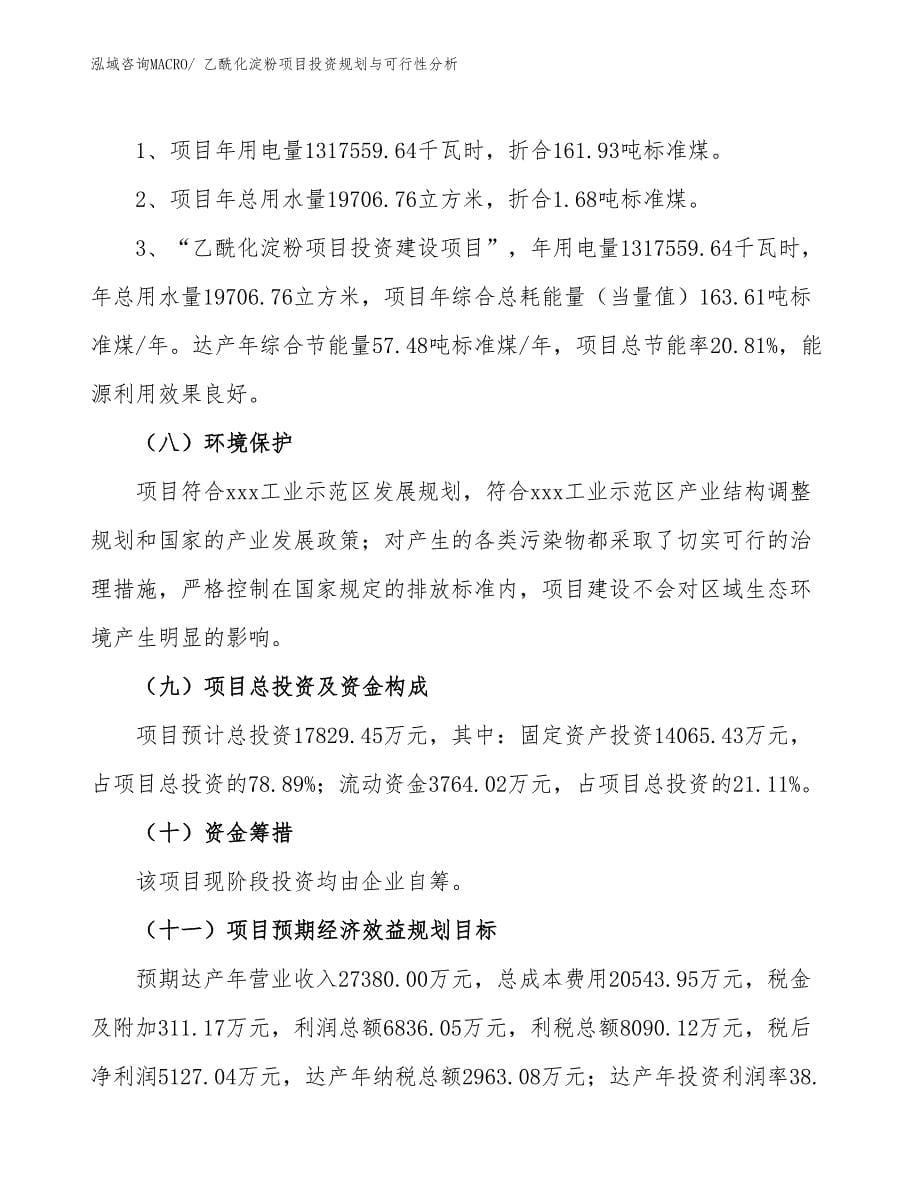 乙酰化淀粉项目投资规划与可行性分析_第5页