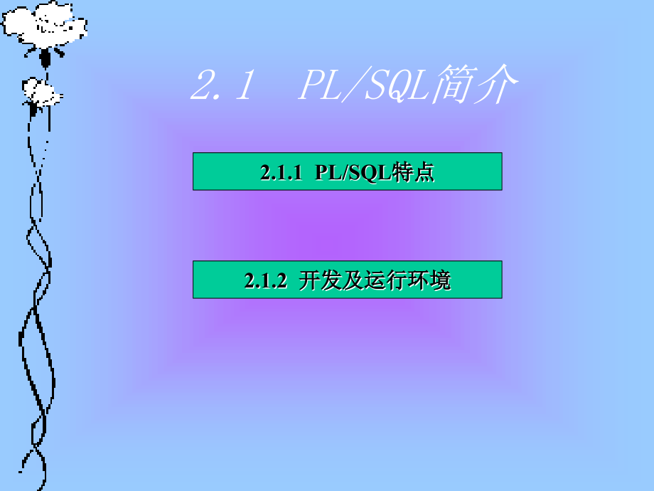 数据库plsql编程_第4页