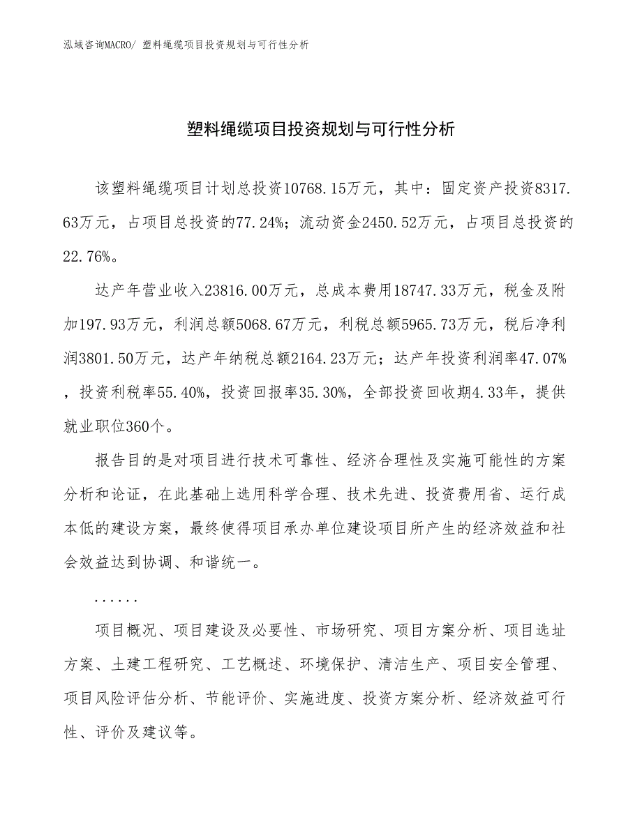 塑料绳缆项目投资规划与可行性分析_第1页