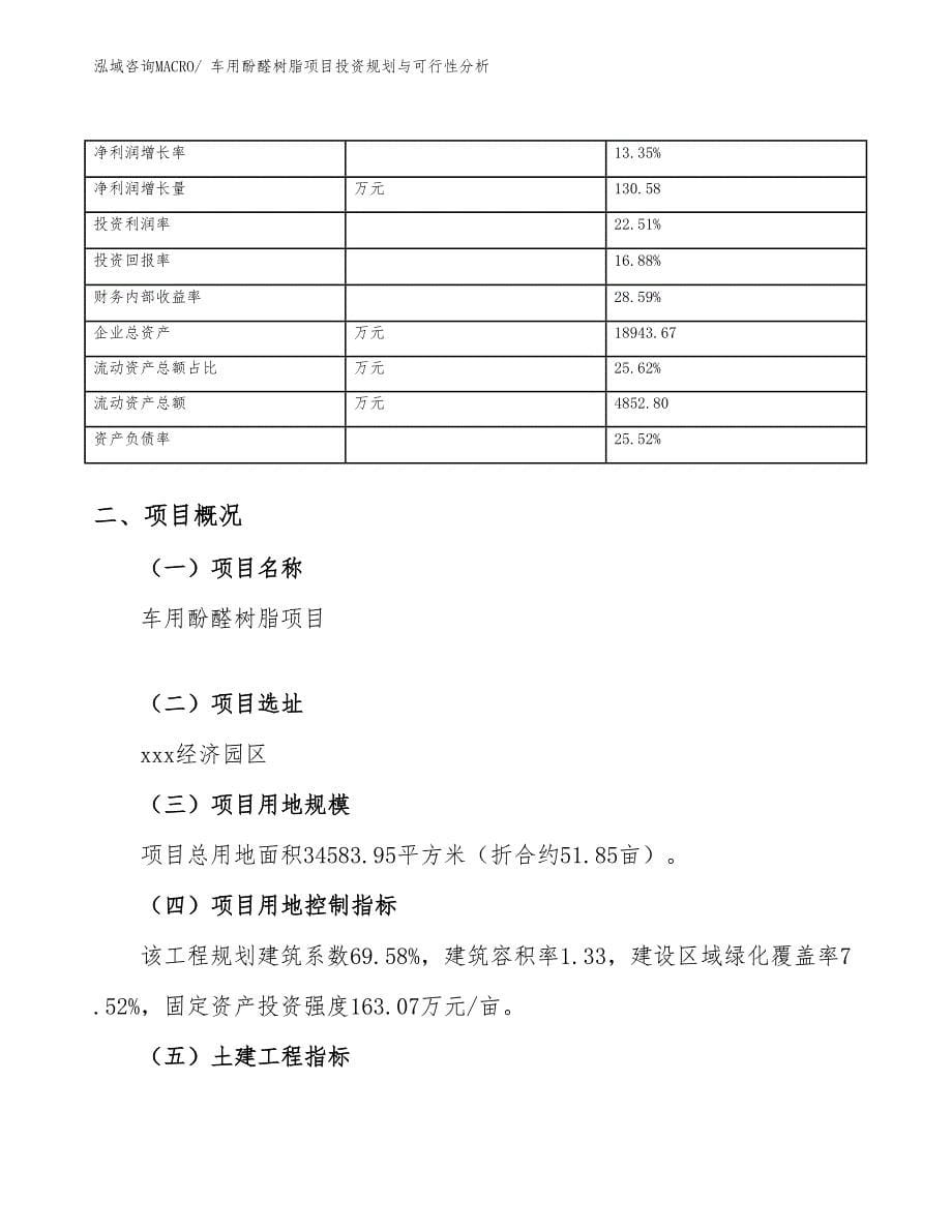 车用酚醛树脂项目投资规划与可行性分析_第5页