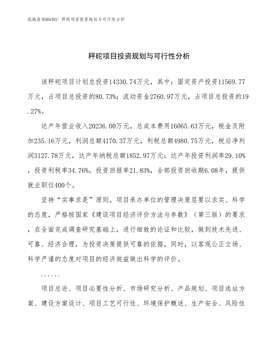 秤砣项目投资规划与可行性分析_第1页