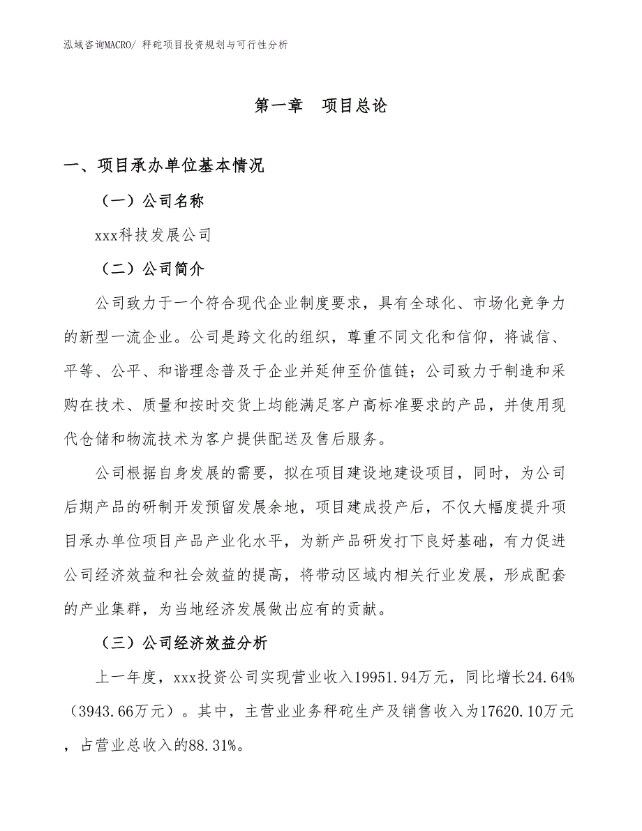 秤砣项目投资规划与可行性分析_第3页