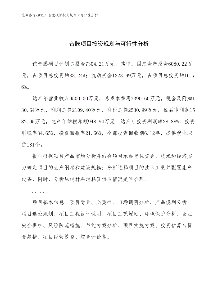 音膜项目投资规划与可行性分析_第1页