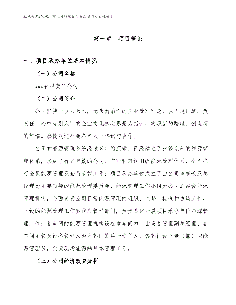 磁性材料项目投资规划与可行性分析 (3)_第3页