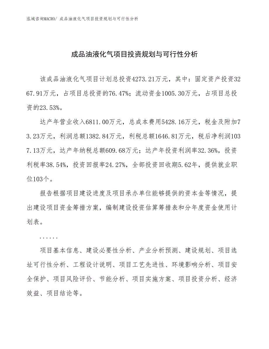 成品油液化气项目投资规划与可行性分析 (1)_第1页