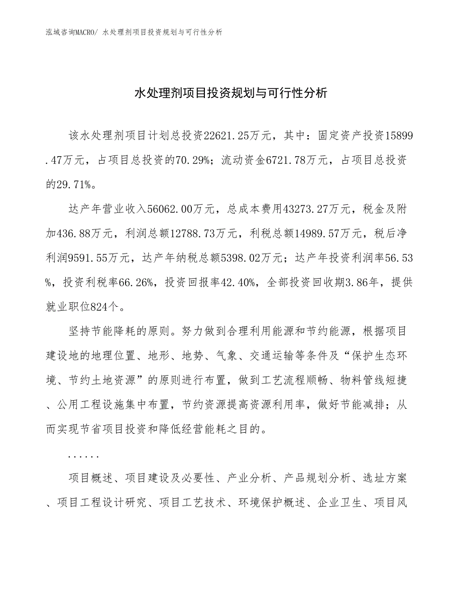 水处理剂项目投资规划与可行性分析 (1)_第1页