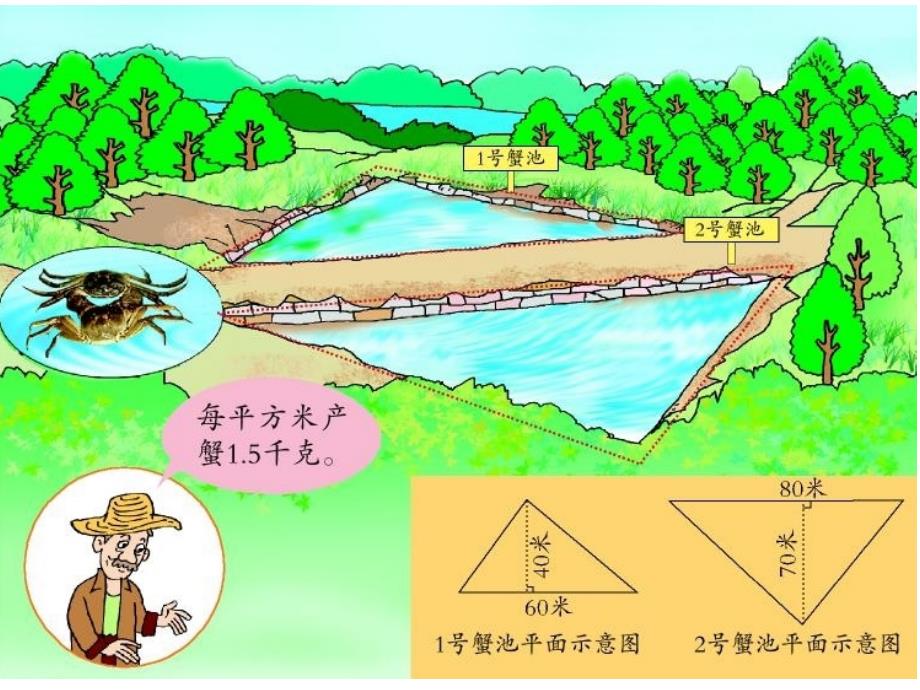 两个面积相等的三角形一定能拼成一个平行四边形_第1页