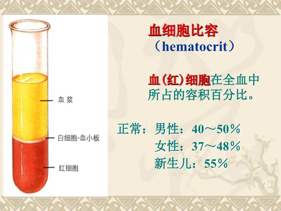 人体解剖生理学第四章血液_第4页