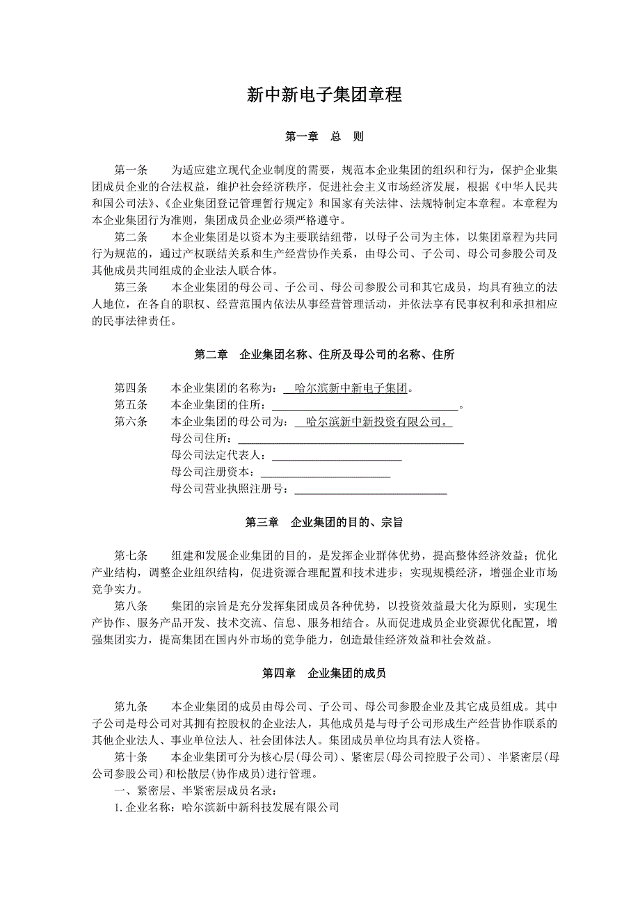 新中新电子集团企业章程_第1页