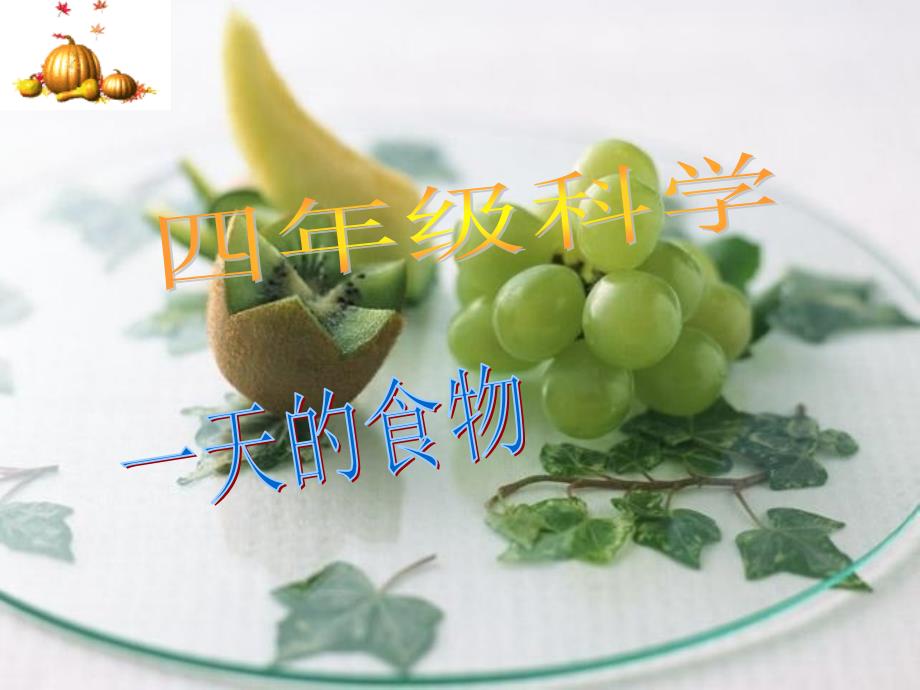 教科版科学四下一天的食物课件之三_第2页