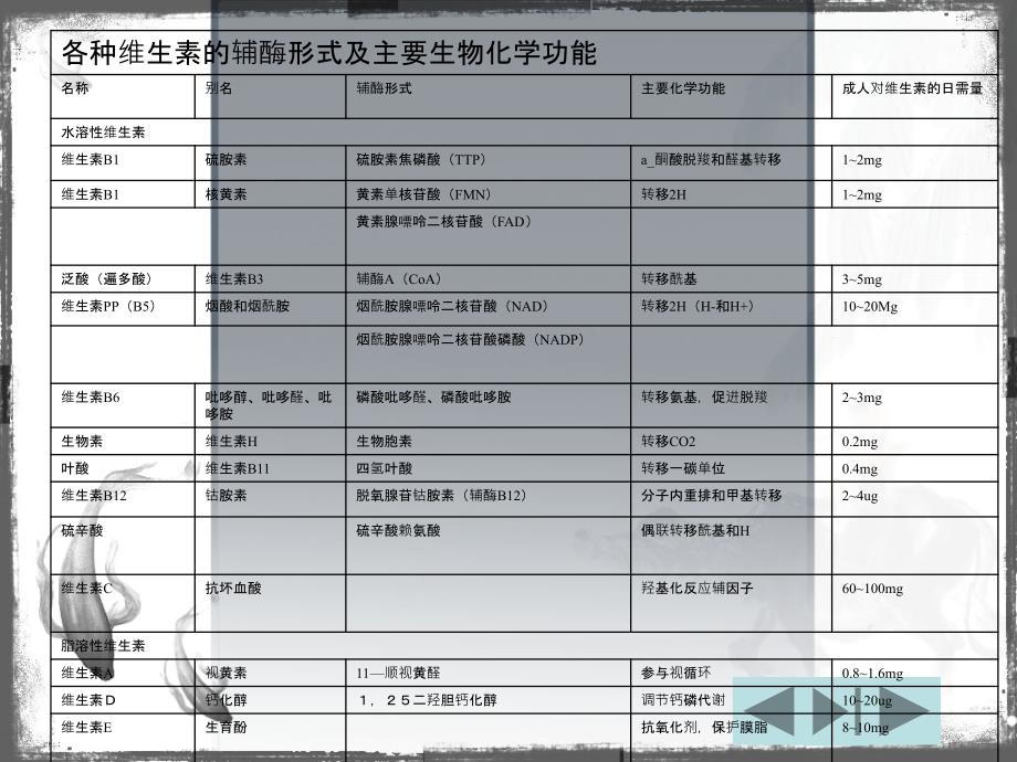 维生素与辅酶基础知识_第4页