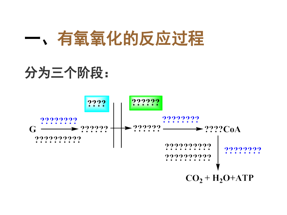 《有氧糖代谢》ppt课件_第3页