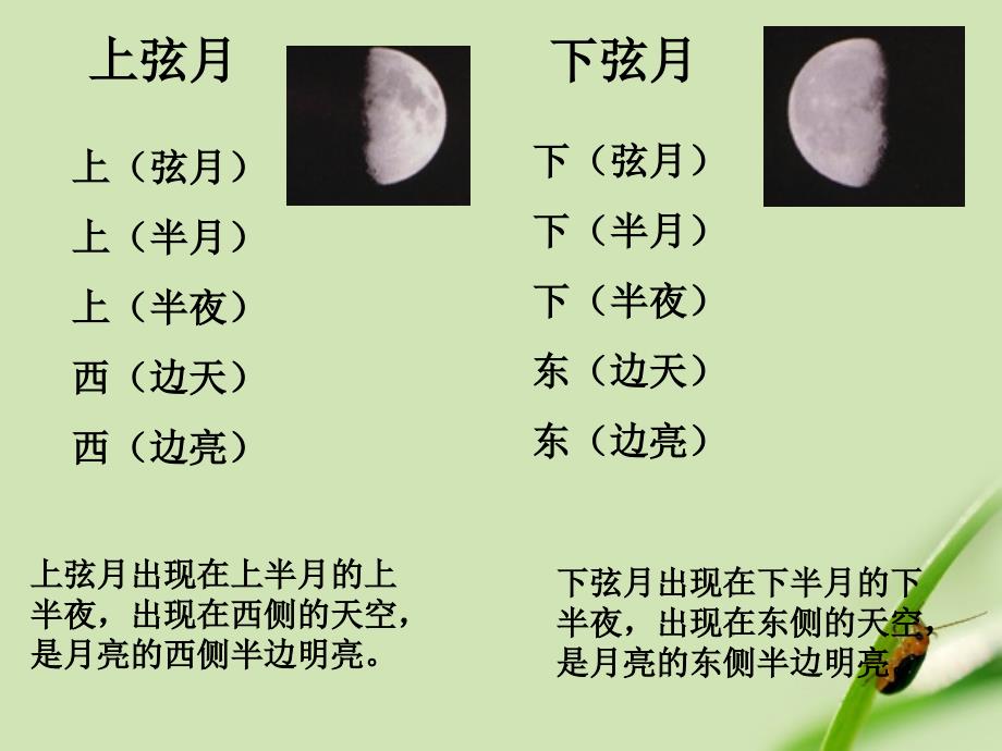 科学上册看月亮3课件苏教版_第4页