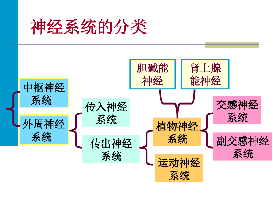 外周神经系统药物(12)_第2页