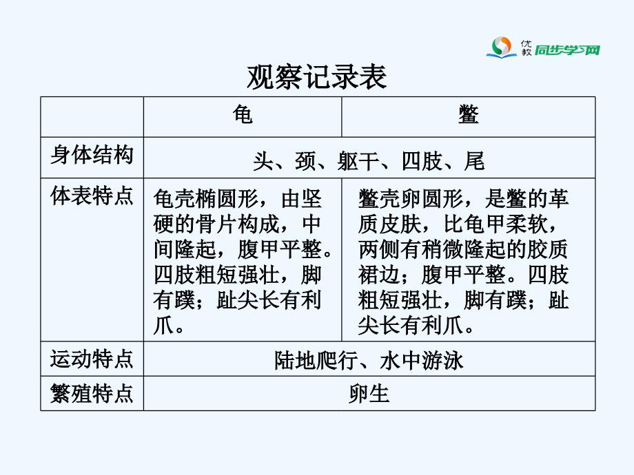 鄂教版科学五年级上册第10课《龟和鳖》ppt课件2_第4页