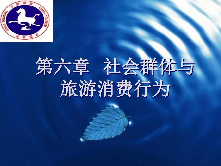 社会群体与旅游消费行为_第1页
