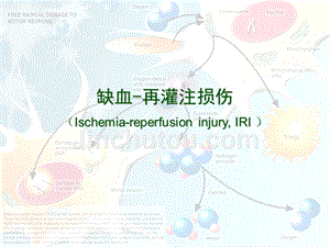 缺血-再灌注损伤ischemia-reperfusioninjuryiri