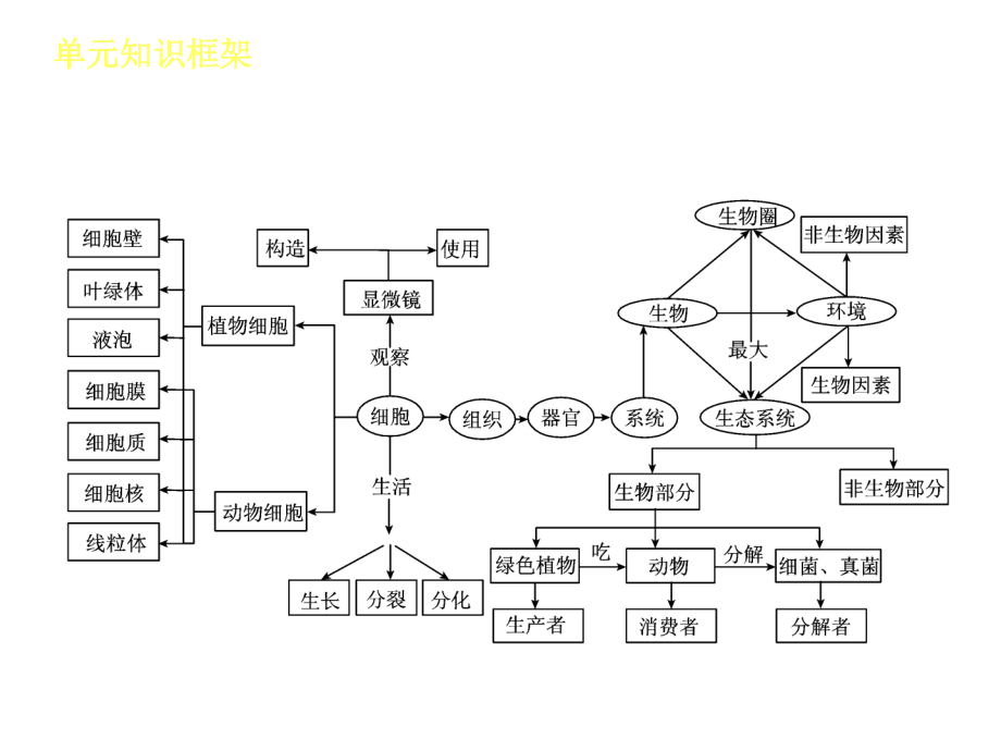 生物体的结构和生物圈生物-新课标人教版_第3页