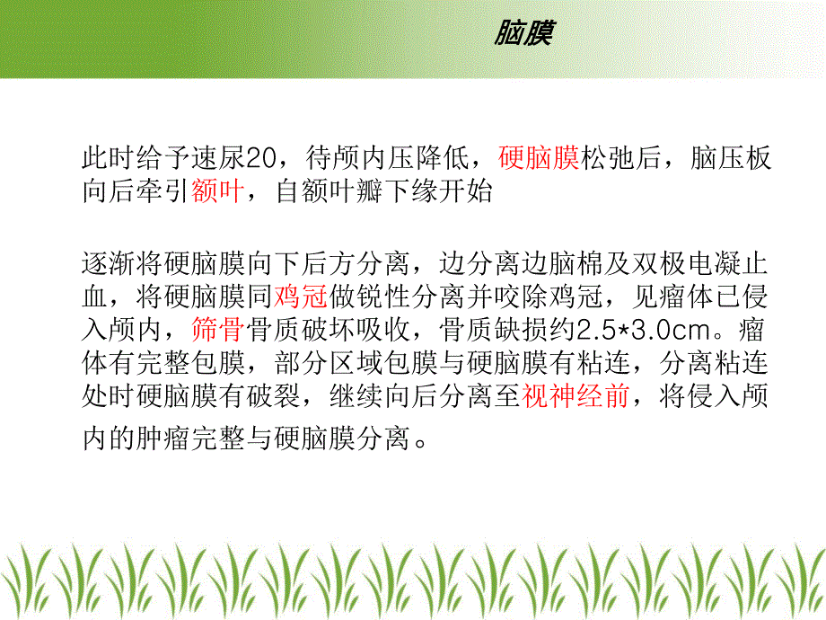 《颅脑解剖概要》ppt课件_第4页