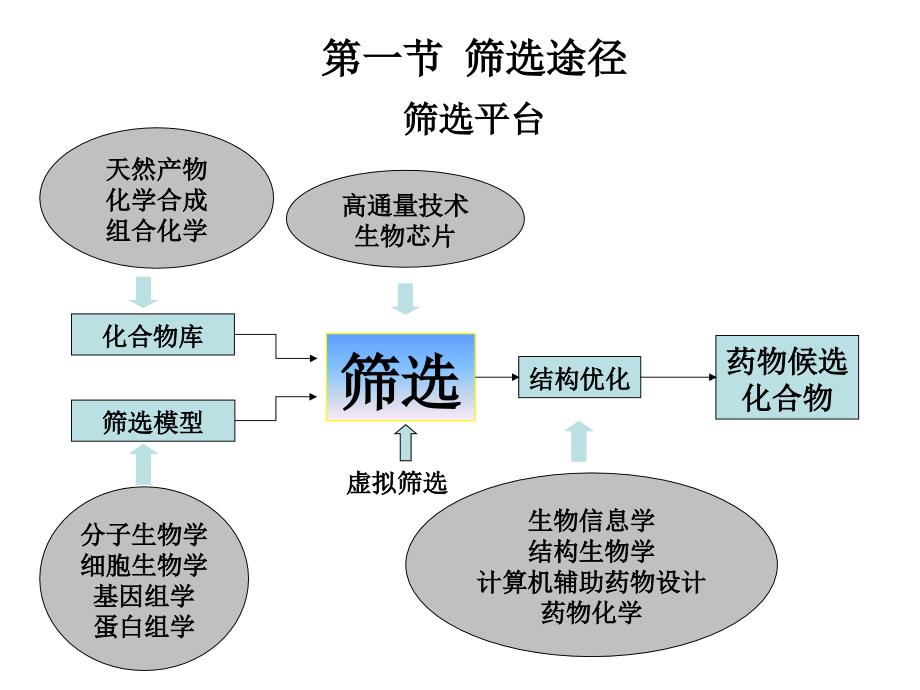 药物设计学第一章先导化合物_第4页