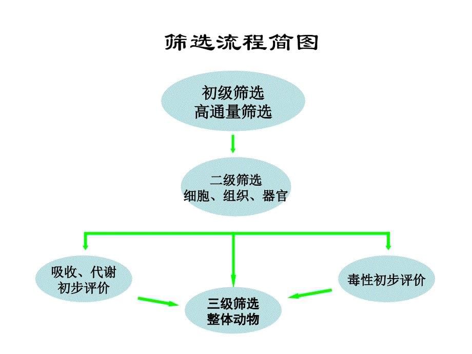 药物设计学第一章先导化合物_第5页