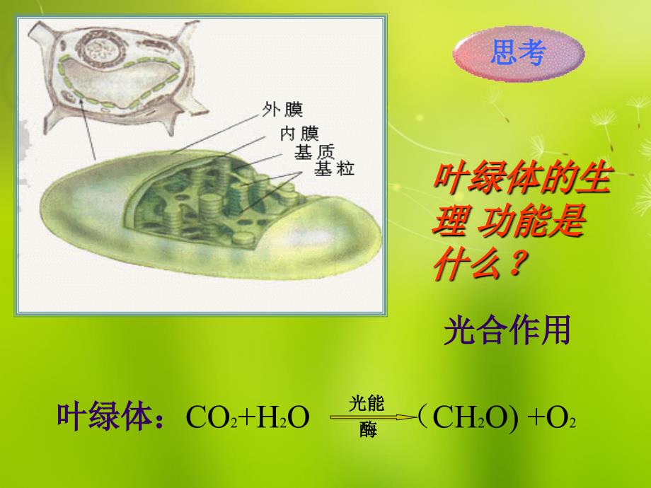 《第五章第一节降低化学反应活化能的酶》课件1新人教版必修1_第4页