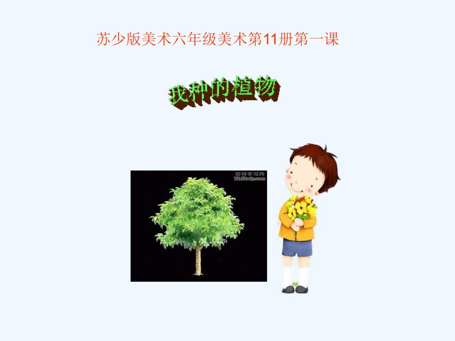 苏少版美术六上《我种的植物》ppt课件3_第1页