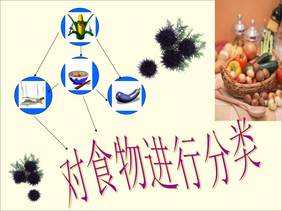 教科版科学四下一天的食物课件之二_第4页