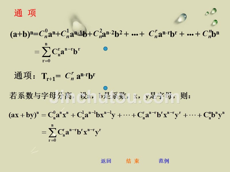 《二项式定理》公开课课件_第3页