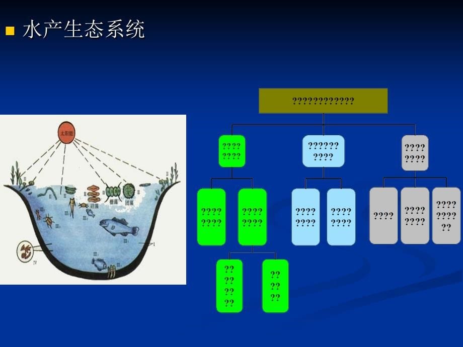 《水产微生态》ppt课件_第5页