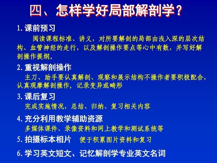 《下肢前面浅层结构》ppt课件_第5页