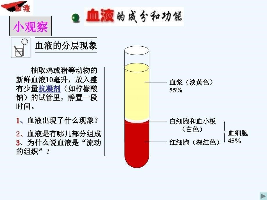 济南版七下第一节《物质运输的载体》ppt课件1_第5页