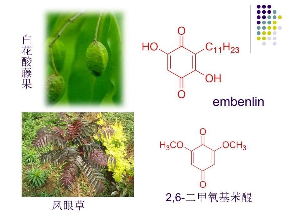 天然药物化学3-副本_第5页