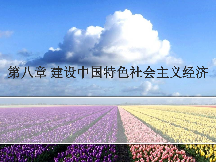 上师大毛概ppt第8章_第1页