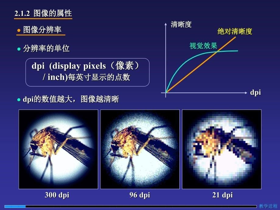 photoshop图像处理初步_第5页