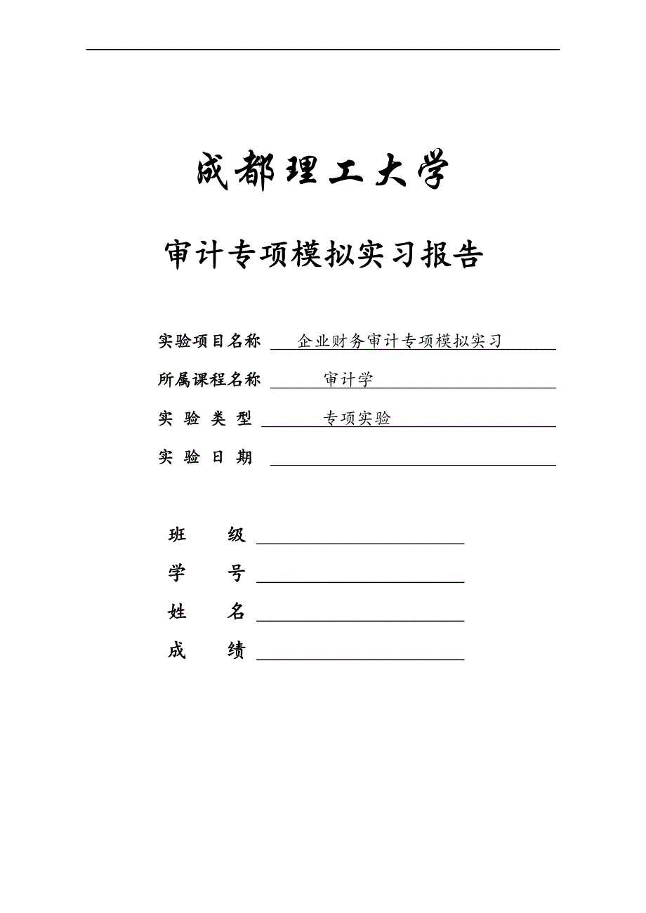 审计专项审计模拟实习报告_第1页