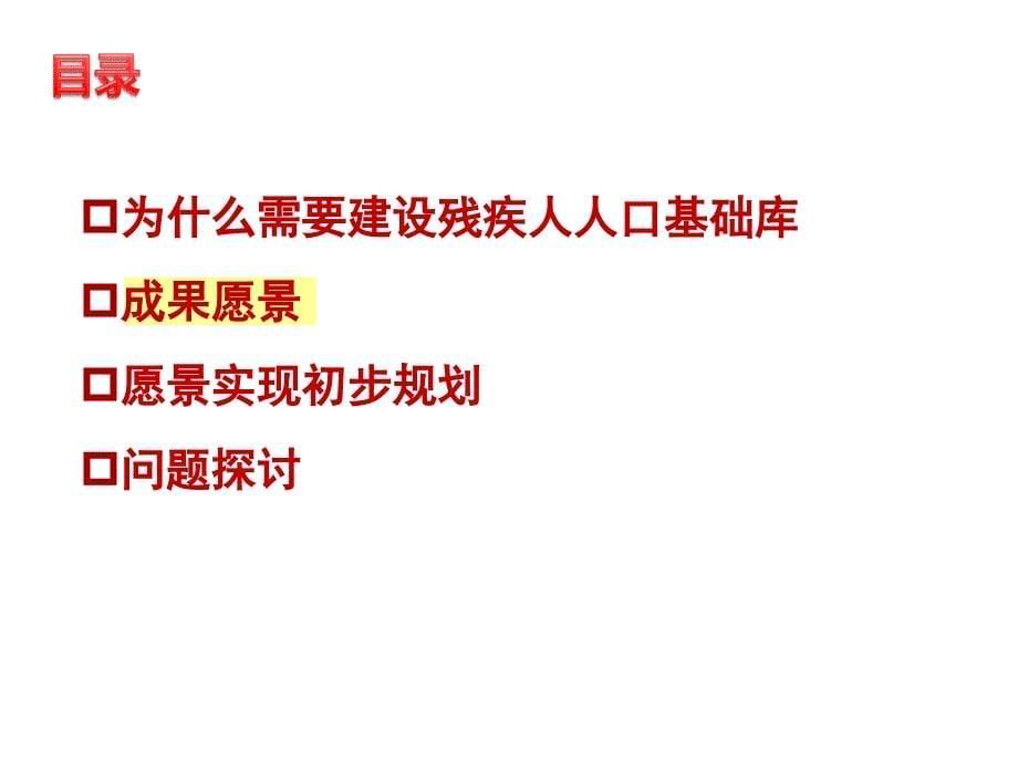 中国残疾人人口数据库初步设计方案_第5页