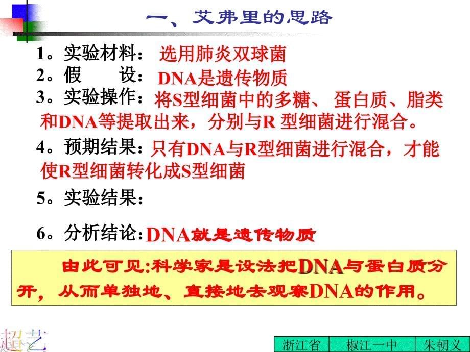 金丝猴的后代仍然是金丝猴_第5页