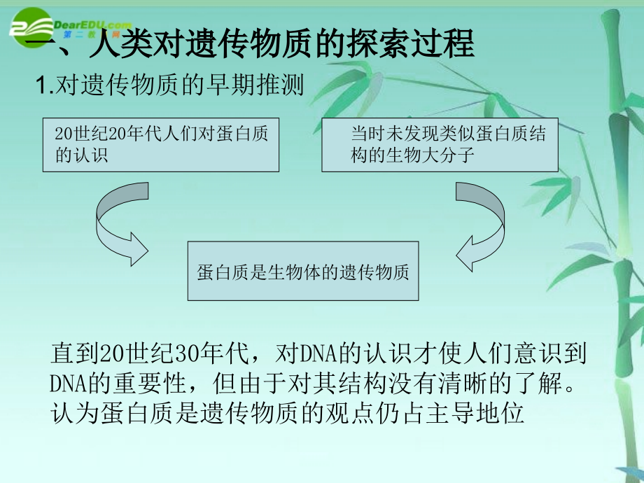 专题三遗传的基础和遗传定律课件新人教版_第3页