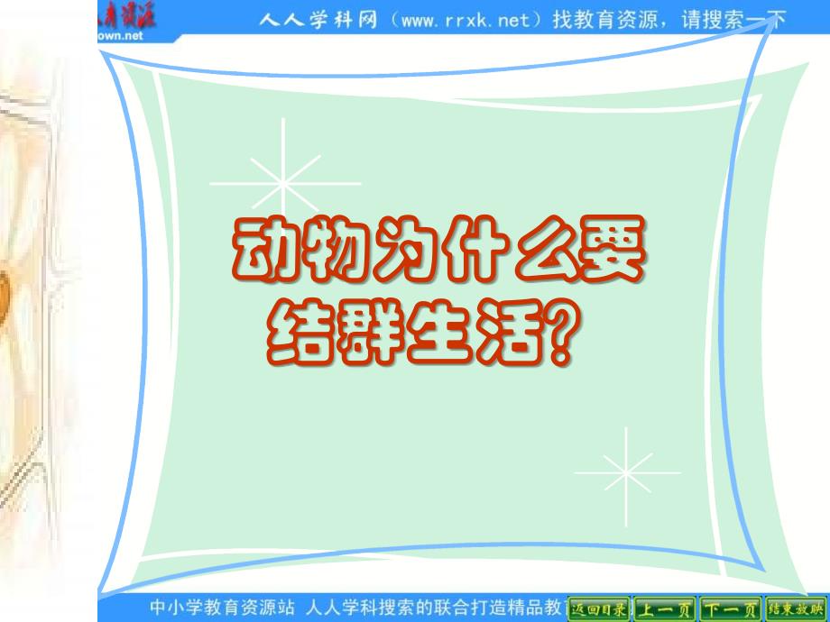 人教版八上第三节《社会行为》ppt课件3_第4页