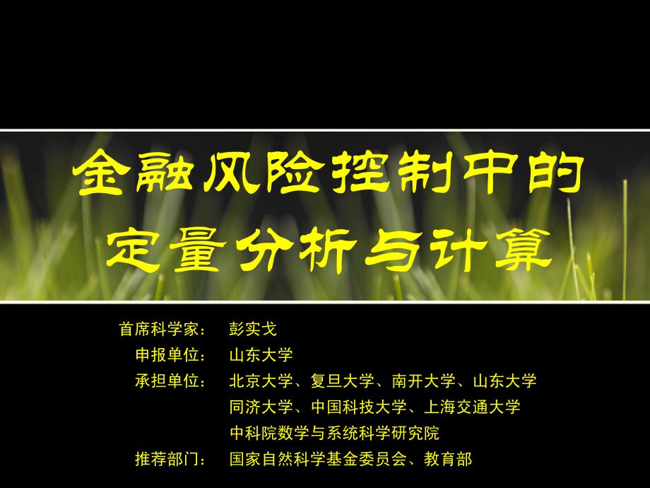 金融风险控制中的定量分析与计算彭实戈_第1页