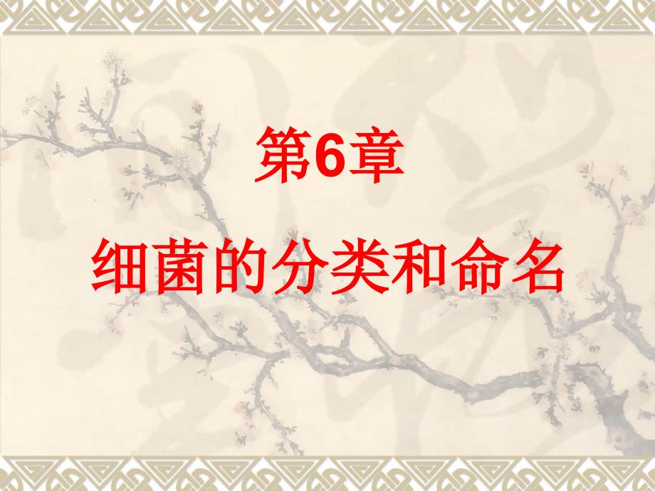 《细菌的分类和命名》ppt课件_第1页