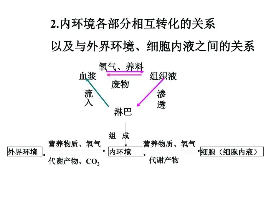 生物必修三复习全册_第5页