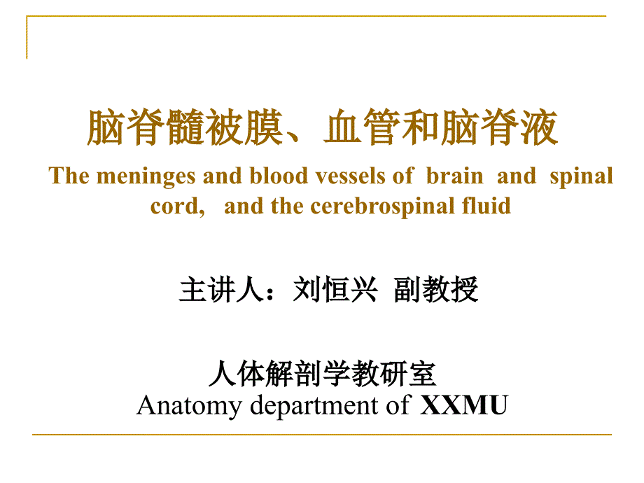 脑膜脑血管与脑脊液_第1页