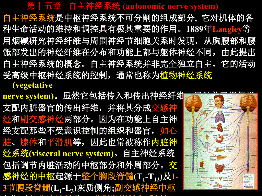 神经生物学十五十六_第1页