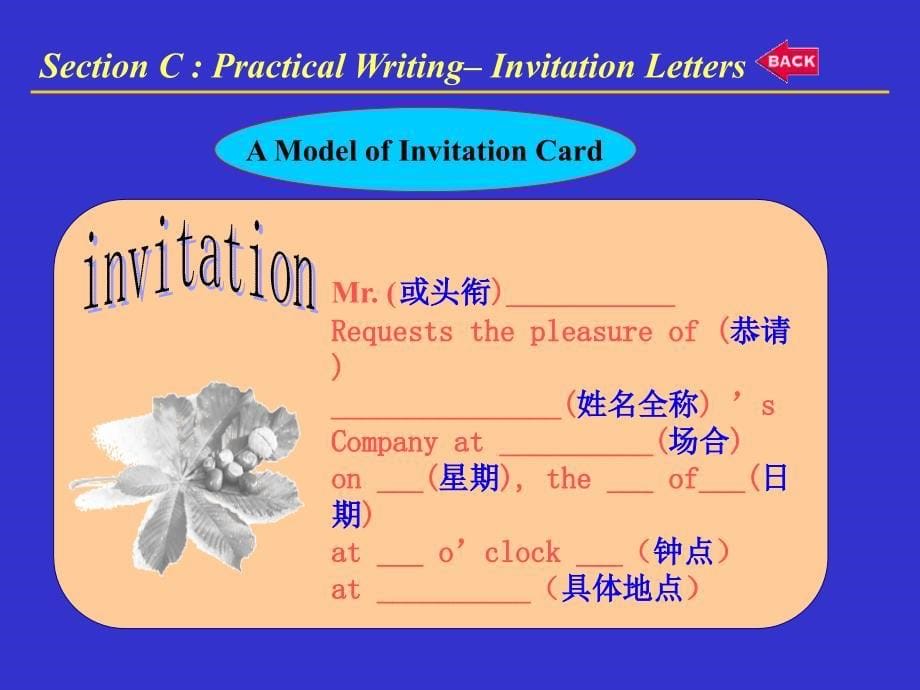 新视野大学英语unit1sectionc_第5页