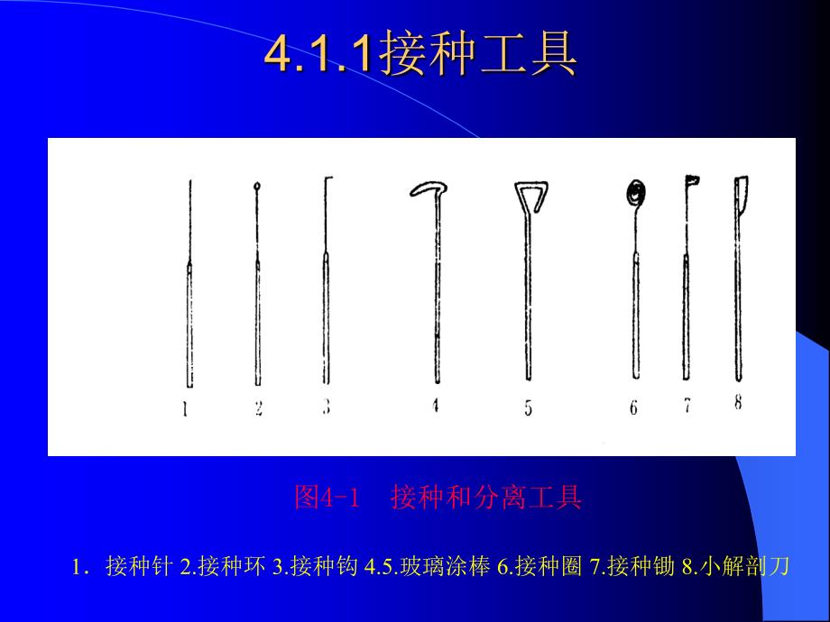 讲义4微生物基本操作规范4接种分离纯化_第4页