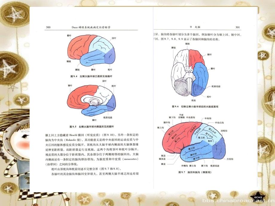 神经系统疾病定位诊断学090-大脑脑脊液和脑室系统_第3页