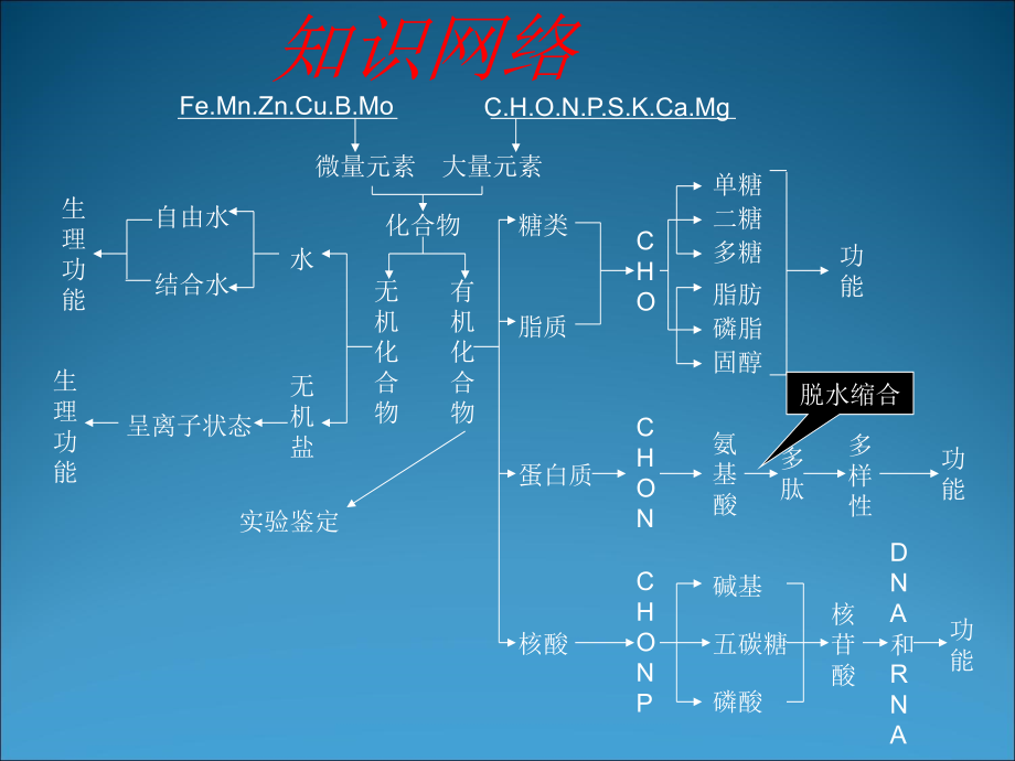 萝卜家园-第一单元_第2页