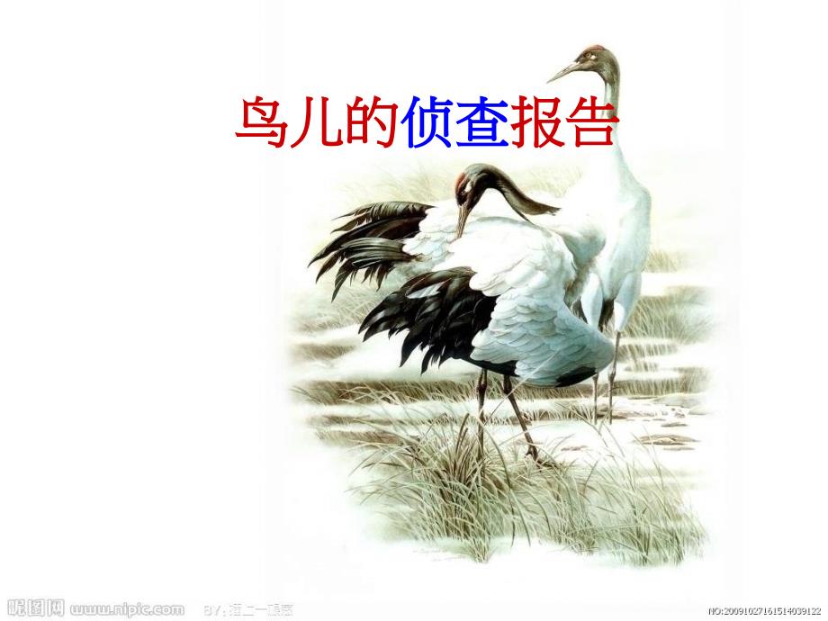语文s版三下《鸟儿的侦察报告》4_第1页